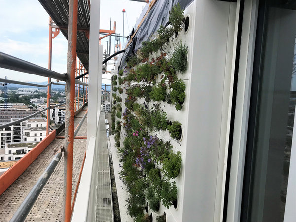 Green City Tower Freiburg - Deutschlands größte vertikale Vegetationsfläche 