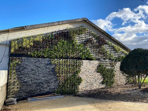 Müller Garten-und Landschafsbau greencityWALL