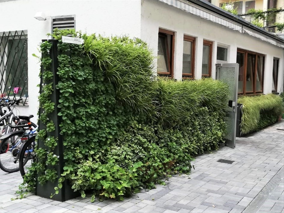 Begrünung Innenhof Konviktstr. Freiburg